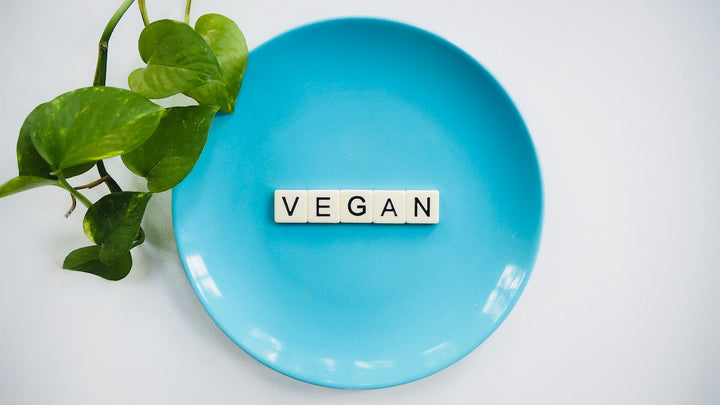 A Guide on Becoming a Vegan - Ft. Wakao